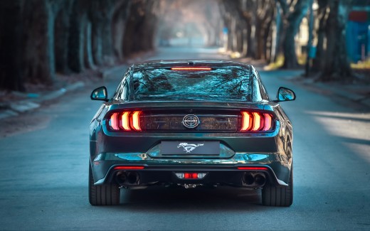 Ford Mustang Bullitt 2019 4K 4 Wallpaper