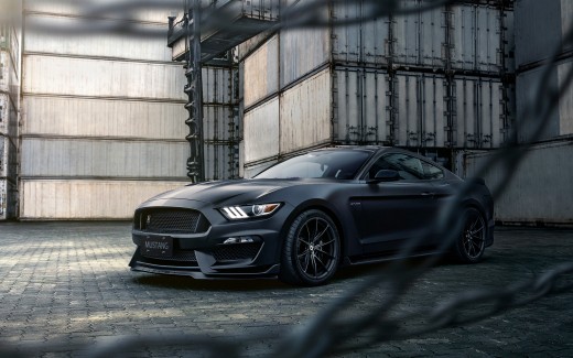Ford Mustang Shelby GT350 3 Wallpaper