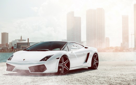 Lamborghini Gallardo White Wallpaper