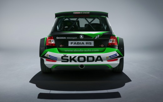 Skoda Fabia R5 Concept 4K 2019 2 Wallpaper